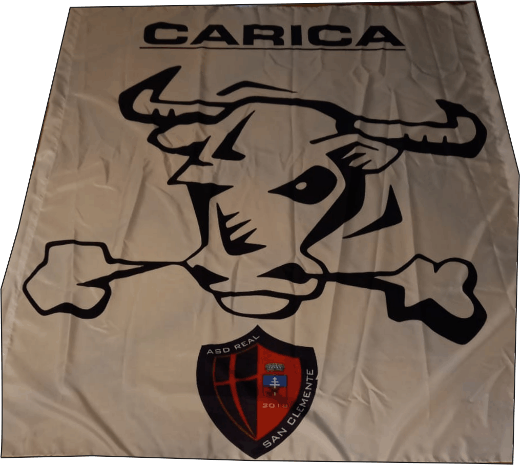 4pz Bandiere Culto A Semicerchio Con 4 Aste Scalabili, 140x92cm Bandiera Ballo Di Lode Bandiere Di Lode Per Chiesa Bandiera Danza Per Culto Danza Chiesa (Bianco Trasparente - 9